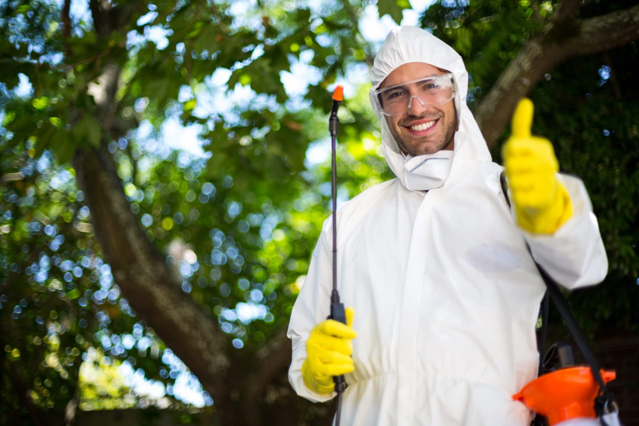 Eco Pest Control Services in Sri Lanka